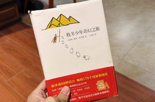 《牧羊少年奇幻之旅》书籍照片