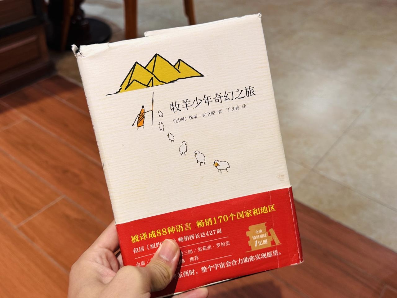 《牧羊少年奇幻之旅》书籍照片